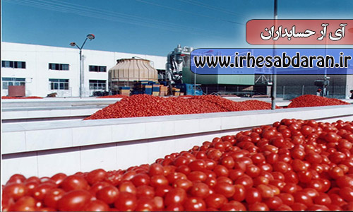پروژه مالی حقوق و دستمزد شرکت رب گوجه فرنگی